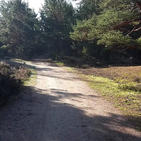 Zagroda Pod Gontem *