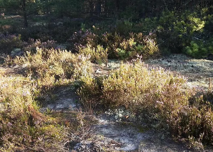 Zagroda Pod Gontem Prázdninový dům