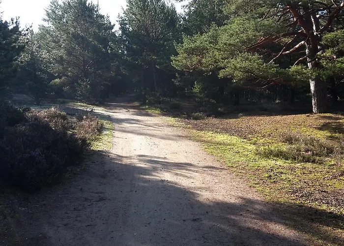 Zagroda Pod Gontem *