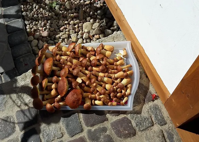 Zagroda Pod Gontem *